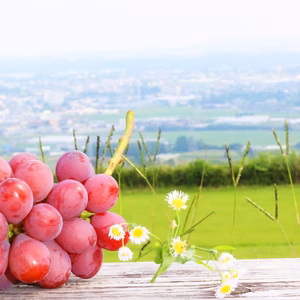 訳あり品！新名さんがつくる、「クインニーナ」