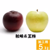 信州 王林&秋映【訳あり 5kg】2種食べ比べセット☆10月上旬頃出荷開始
