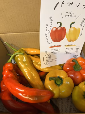 みんなの投稿の画像