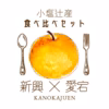 【冬梨食べ比べセット】石川県産「加賀梨」新興、愛宕