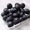 【生食用】ブルーベリー【おまけ付】（静岡県磐田市産）この時期貴重！