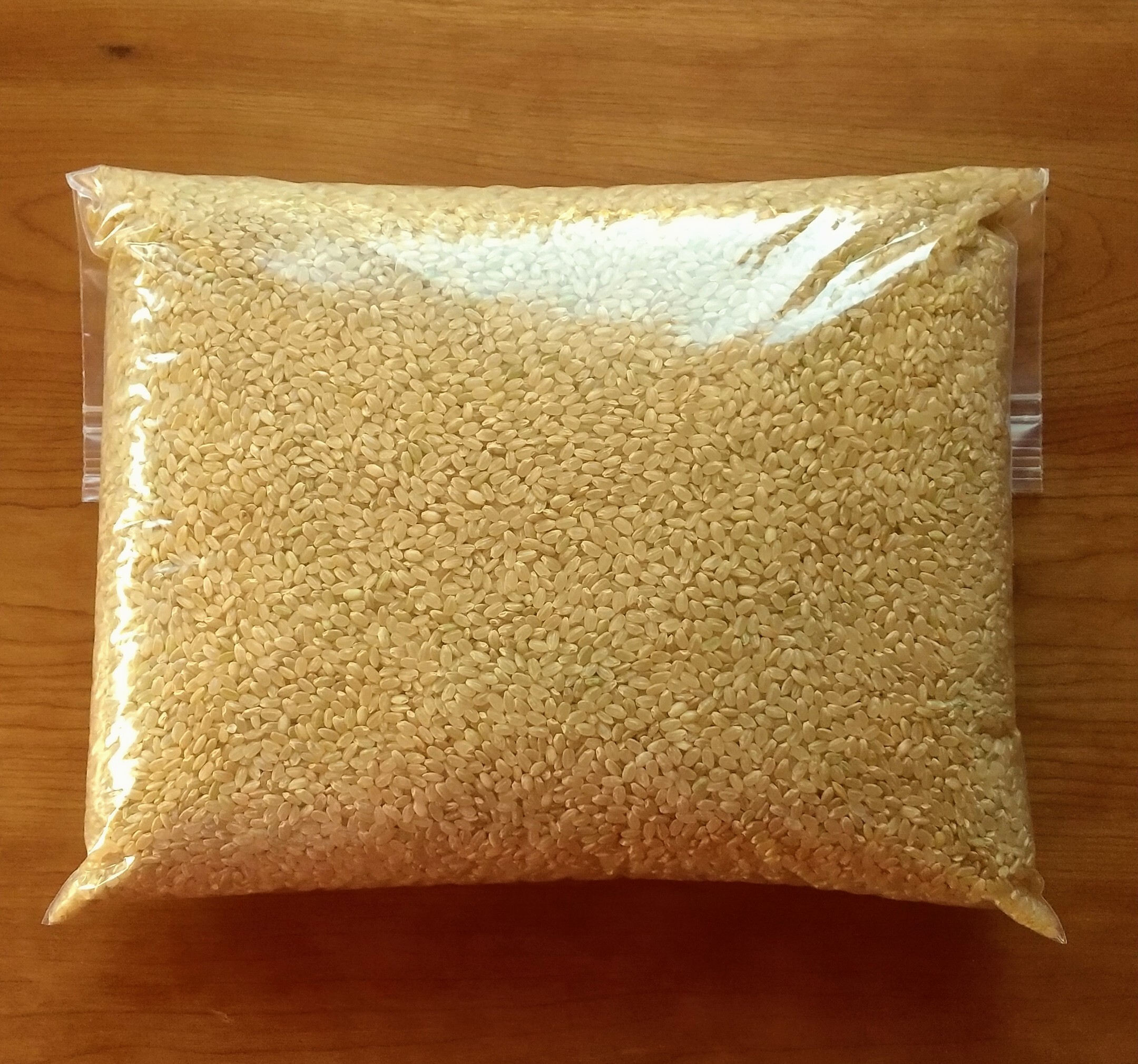 ☻ララ☻ 無農薬コシヒカリ玄米20kg(ビニ袋5kg×4)令和6年産 すみすみ様専用 無農薬コシヒカリ玄米20kg(5kg×4)令和5年産