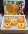 【化粧箱入り】あたご梨 約5kg　冬のギフトに♪