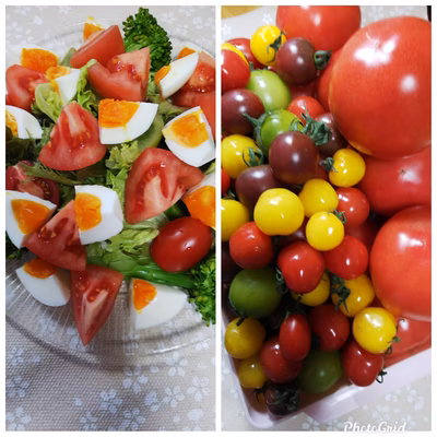 みんなの投稿の画像