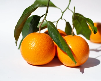 大人気‼スマイルカットで"お祭り清見"　2年に一度のオレンジ祭り！３月発送