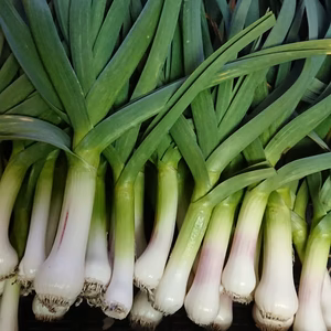 【有機JAS】自然薯と葉にんにくのよくばりセット♪