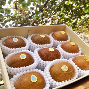 [予約販売開始!!]スイートキウイセット！農園で特に糖度の高い3種入りMS
