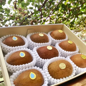 [予約販売開始!!]スイートキウイセット！農園で特に糖度の高い3種入りMS