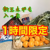 はるさん再注文用　新玉箱のみはるみ、野菜２種他詳細は読んで！１時間限定