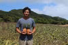フレッシュ冷凍！西表島産完熟ピーチパイン