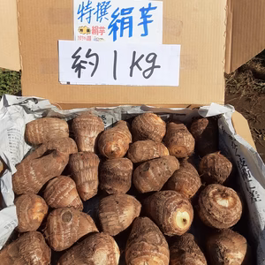 お買得❣少し小ぶりの特選絹芋(里芋)　“コンパクト箱に入るだけ"