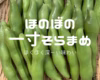ほくほく深～い味わい❗朝穫れ❗「そら豆（さや付き）」
