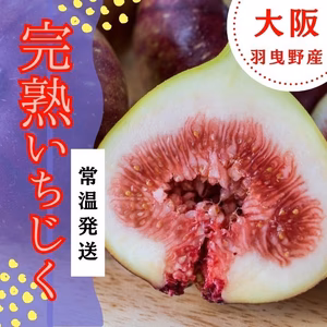減農薬【常温発送】朝採り完熟いちじく　イチジク　希少　無花果　大阪　羽曳野