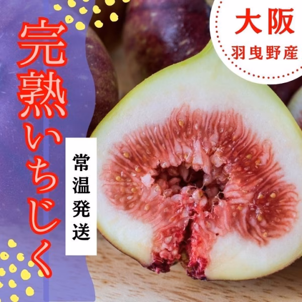 減農薬【常温発送】朝採り完熟いちじく　イチジク　希少　無花果　大阪　羽曳野