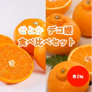2月25日～順次発送せとか・デコ媛食べ比べセット