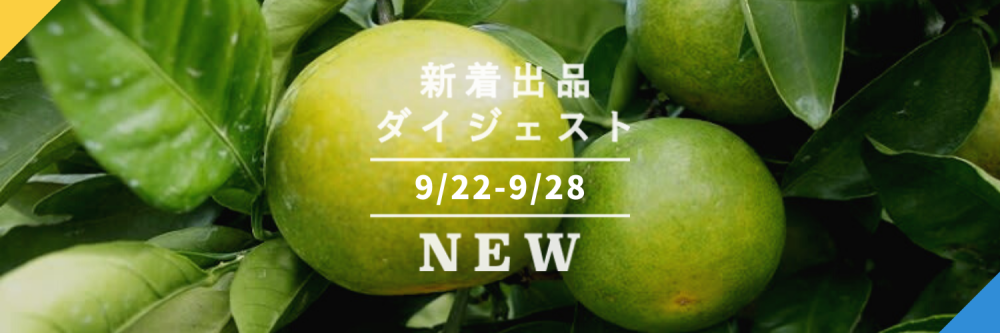 2024セール 酸味・香り最高】農薬不使用栽培！島レモン4Kg M玉中心無選別 果物