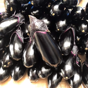 ちょっと自慢の茄子と訳あり甘とう美人のセット