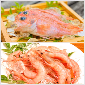 縁起魚の夢カサゴと刺身でも丸ごと食べても美味しいトロえび中小