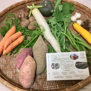 加賀の大地で育った旬の野菜直送BOX（6~8品目）