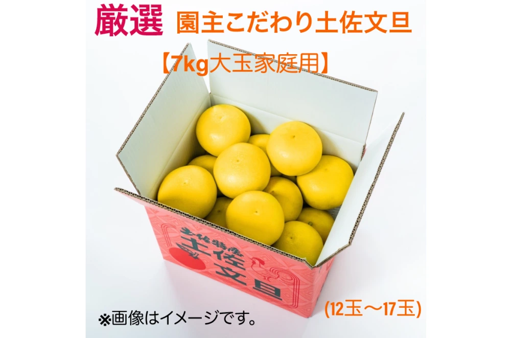 【新発売】厳選 園主こだわり土佐文旦7kg大玉【家庭用 】