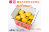 【新発売】厳選 園主こだわり土佐文旦7kg大玉【家庭用 】