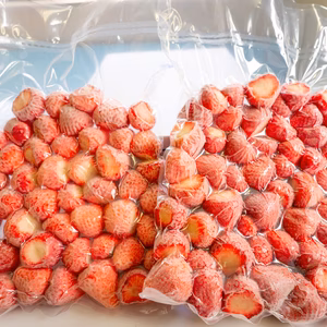 【超瞬間冷凍！鮮度そのまま！】農園ブランド冷凍恋ひめいちご・恋みのりいちご