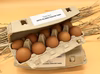 五島の恵みたまご・農場から直送！新鮮ぷりぷり卵♪
