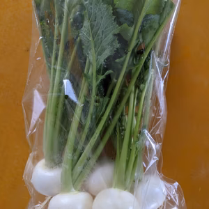 葉まで食べられる小カブ　2.5キロ