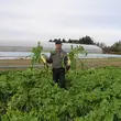 松田敏幸