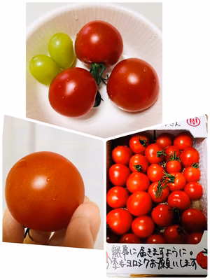 みんなの投稿の画像