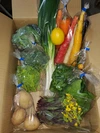 1か月に一度、季節の野菜8~10品目を詰め合わせてお届けいたします