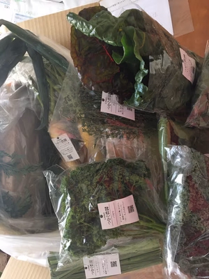 みんなの投稿の画像