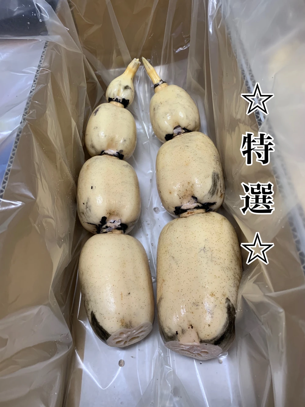 2022年れんこんグランプリ 最優秀賞受賞 特選orご自宅用 さぁどっち‼️