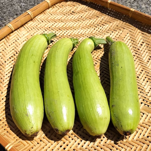 韓国かぼちゃ（エホバク）