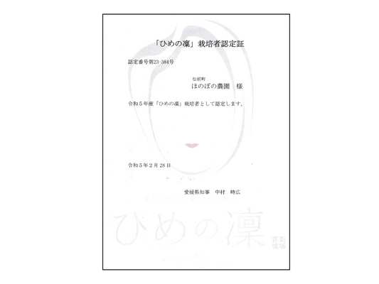 ✨令和５年産 新米✨｢ひめの凜｣ ﾌﾟﾚﾐｱﾑｸｵﾘﾃｨ 一等米｜米・穀類の商品