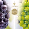 PS-2 花笑み農園　岡山『ピオーネ・シャインマスカット』家庭用　2kg