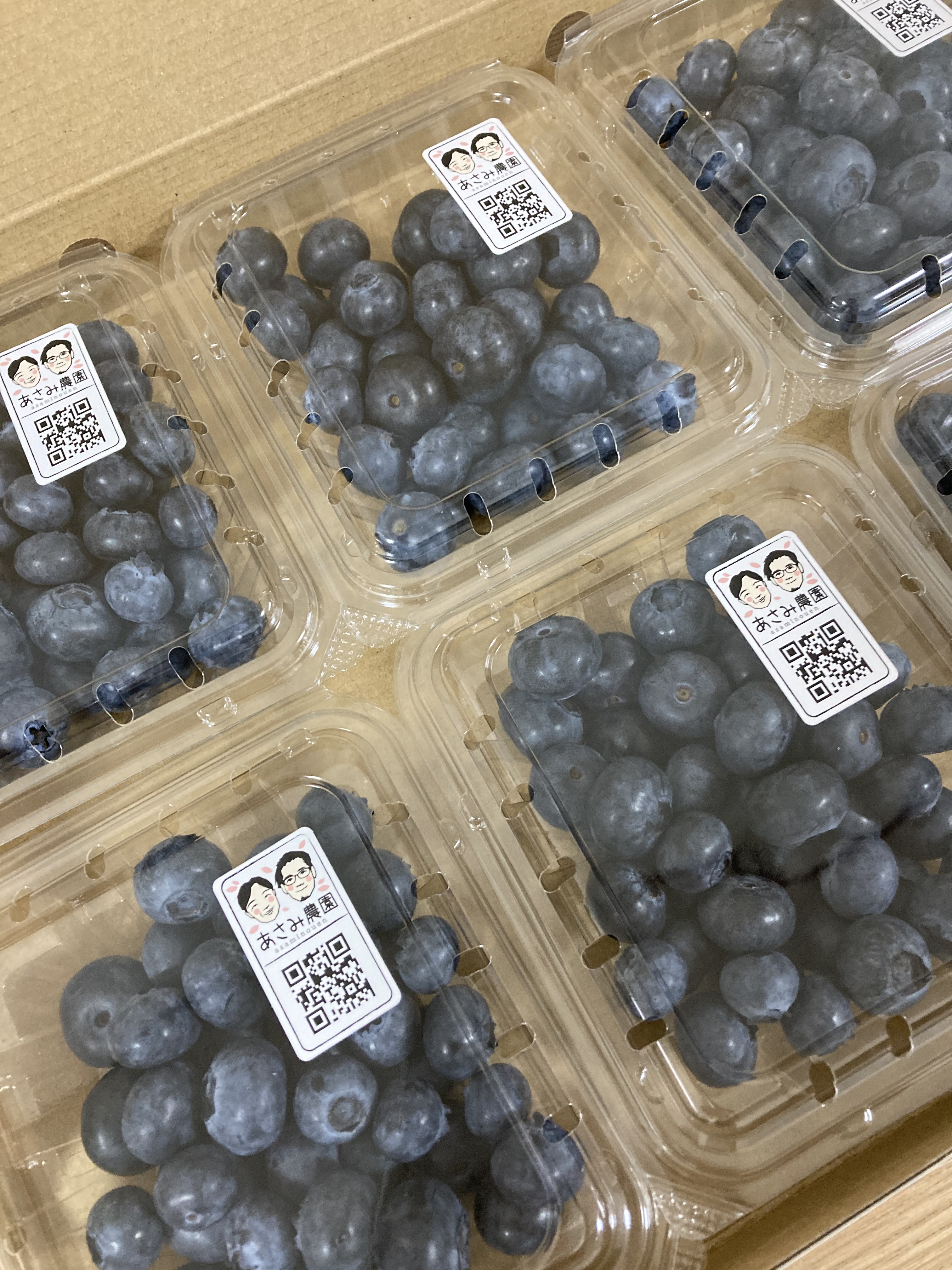 採れたて完熟ブルーベリー(100g×6パック入り) ブルーベリー100g×6パック
