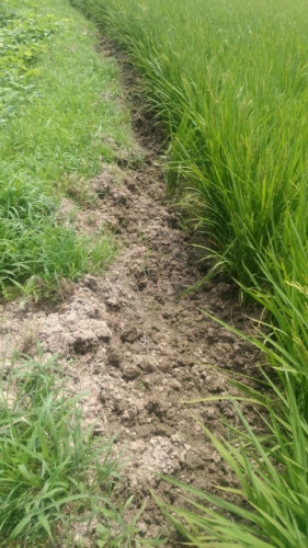 o0360064013379893498