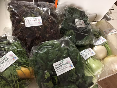 みんなの投稿の画像