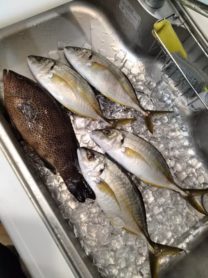 みんなの投稿の画像