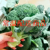【北風】ブロッコリー 常温配送