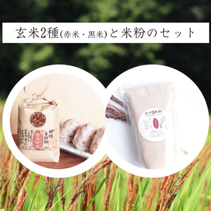 【セット商品】古与曾 玄米(300g 赤&黒) と米粉セット|古代米、玄米、米粉