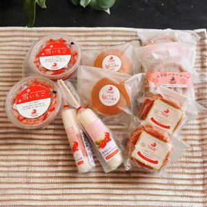 いちごの家のフローズンギフト