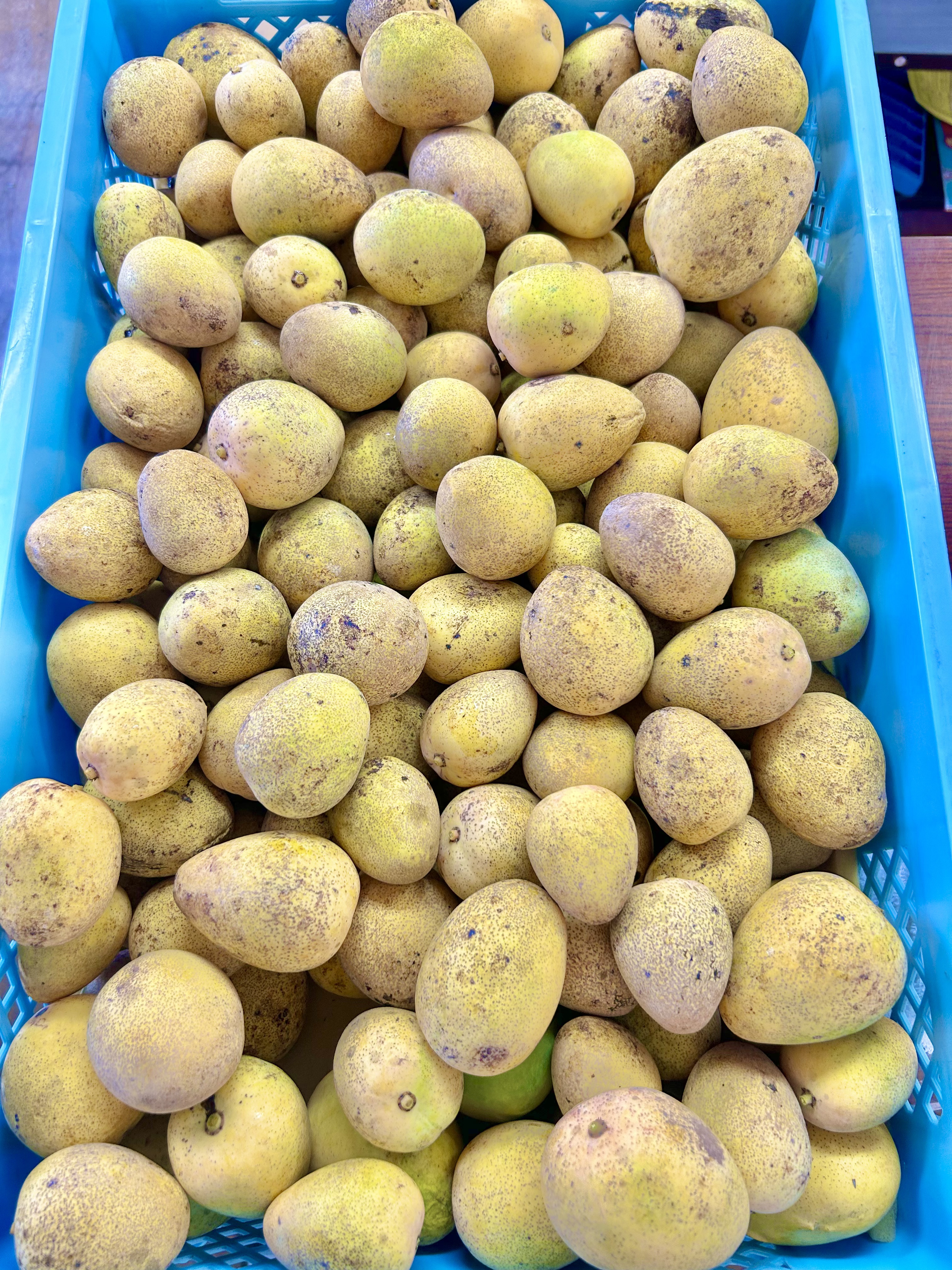 け*け様 ミニ+ミニミニマンゴー　　1kg 楽天市場】ミニマンゴー（総重量（果物）1.00 ～ 1.99kg）の通販