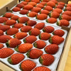 小粒いちご60〜70粒入り