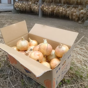 淡路島 玉ねぎ 約10kg（ M〜2Lサイズ）