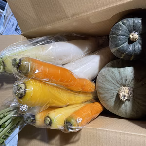 【化学農薬、化学肥料/不使用】秋の十勝野菜セット