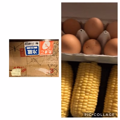 みんなの投稿の画像