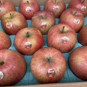 青森県産【葉取らずサンふじ】14玉