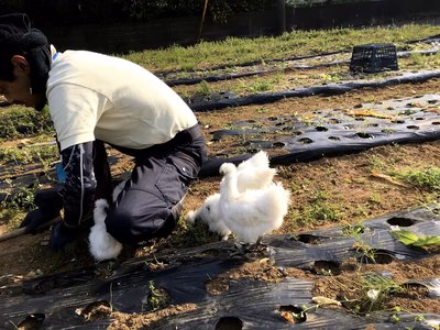 みんなの投稿の画像